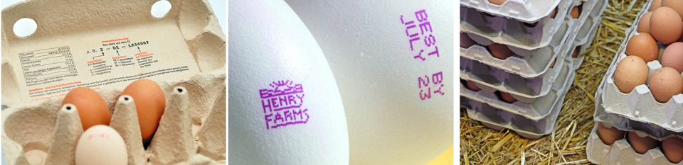 鸡蛋喷码的标识