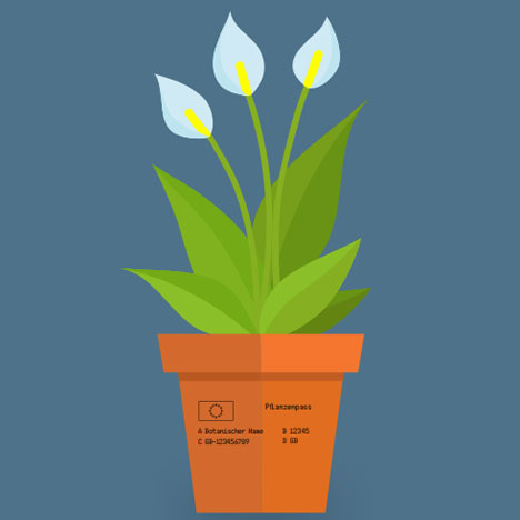 ig-plant-small-pots-image-3-de