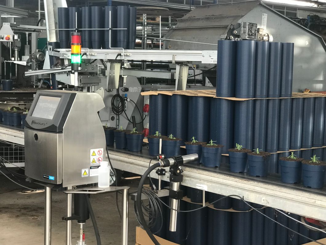 Plantenpaspoort printen bij Van der Salm met Videojet Continuous Inkjetprinter.