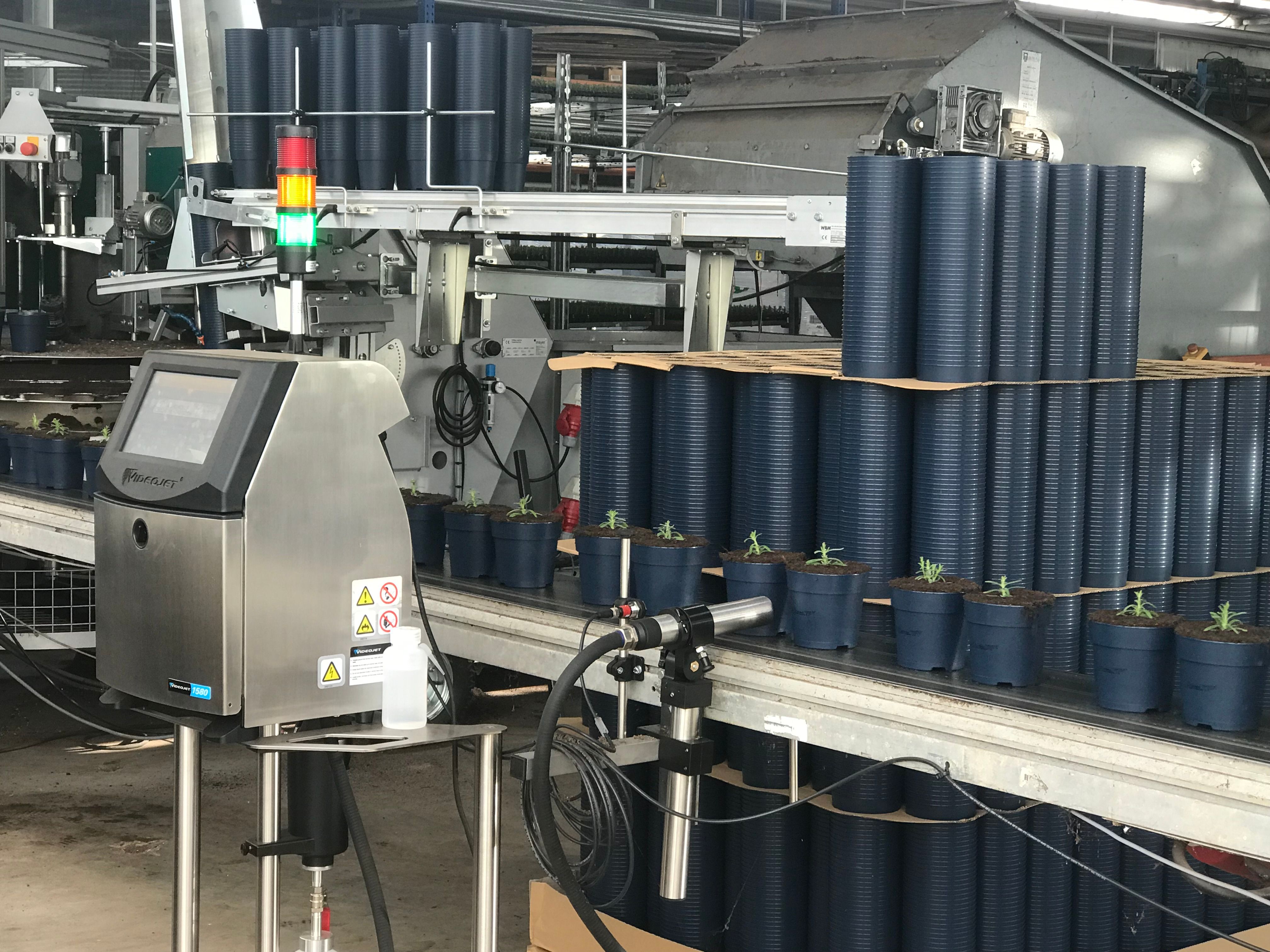 Van der Salm gebruikt de CIJ plantenpaspoort printer van Videojet om hun plantenpaspoort te printen.