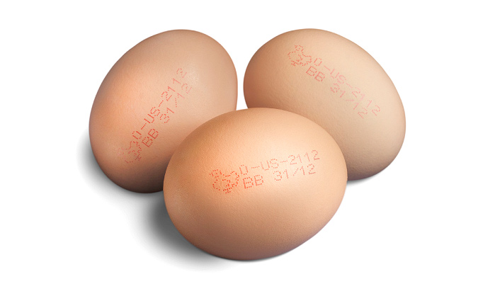 Eggs Marking Machine