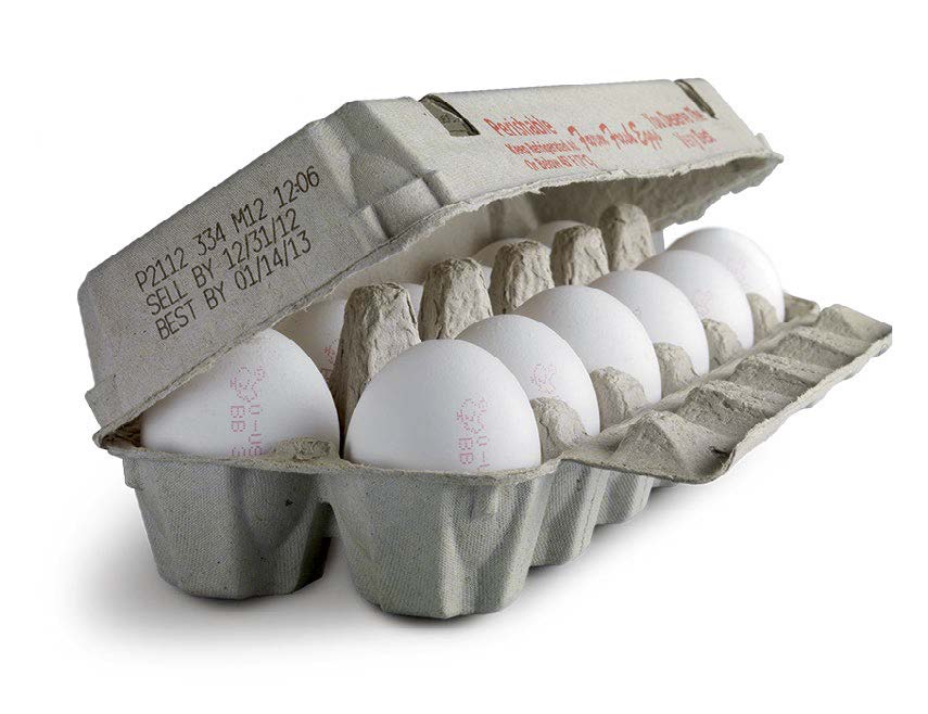 Egg Carton Coding