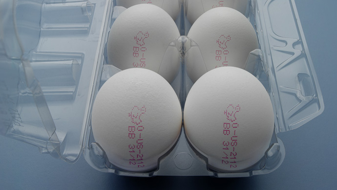 Coding on eggs