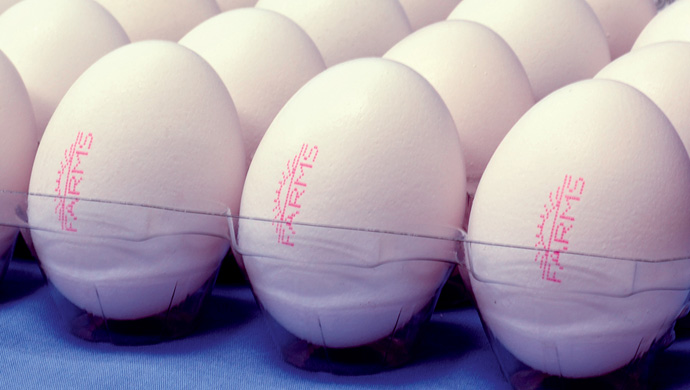 Print brand name on Eggs