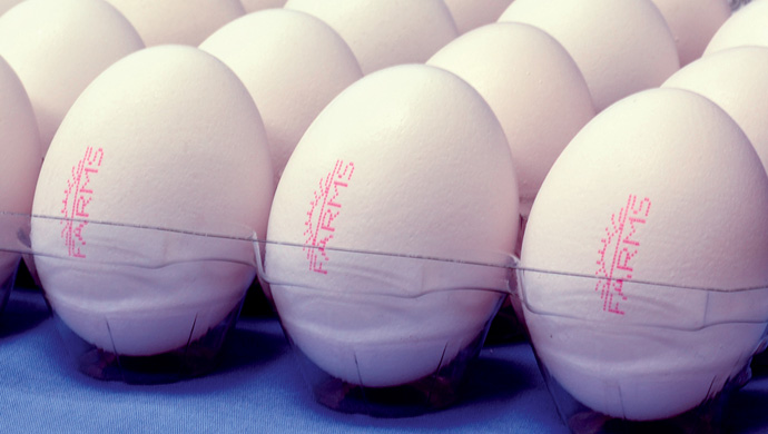 Printing on eggs