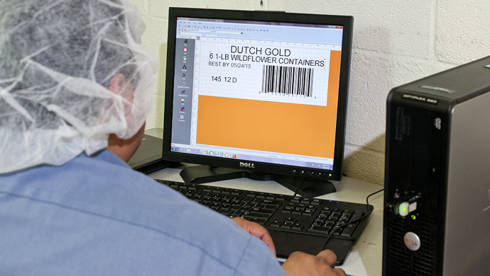 Dutch Gold Honey Clarisuite Kullanıyor